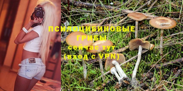 марки nbome Алзамай