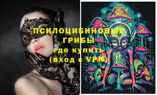 прущие крисы Алексеевка