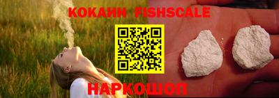 прущие грибы Севастополь