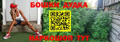 прущие грибы Северобайкальск