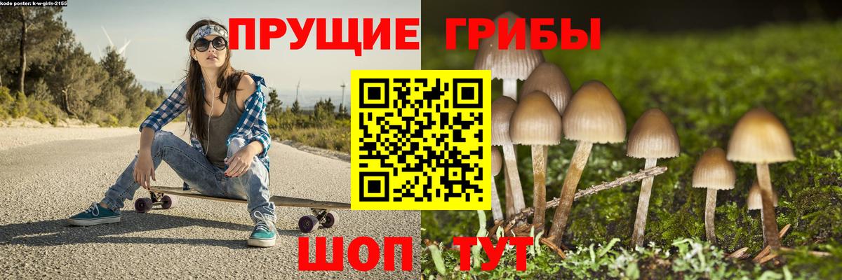 Чайковский  Псилоцибиновые грибы мухоморы  Псилоцибиновые грибы ЛСД  Вход с VPN 
