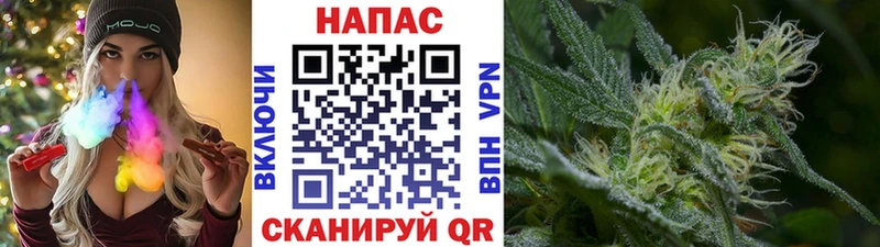 mega ссылки  Чайковский  Конопля тримм 